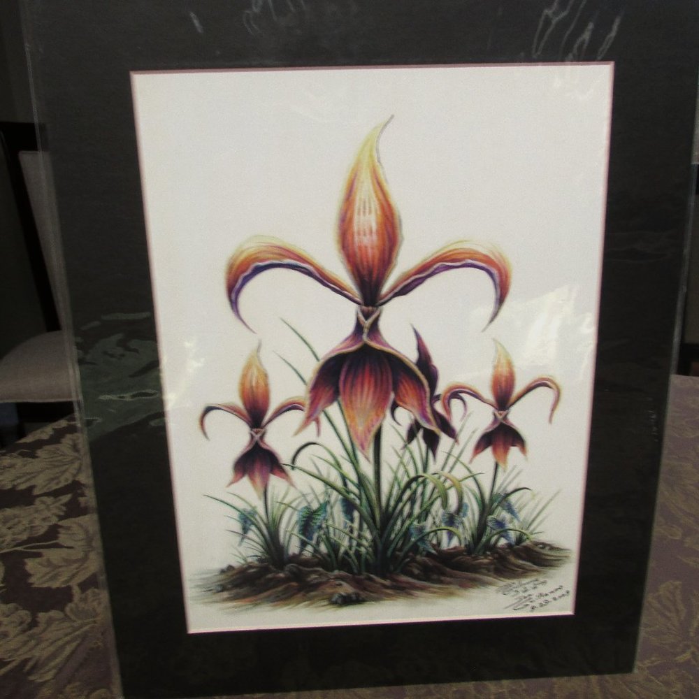 Fleur de li Flower Matted Print 11x14